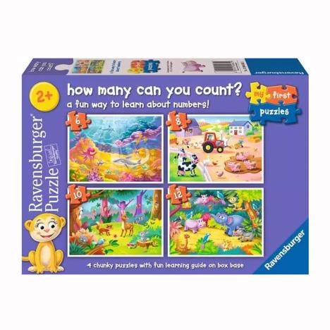 How Many Can You Count? Puzzles 4-in-a-Box