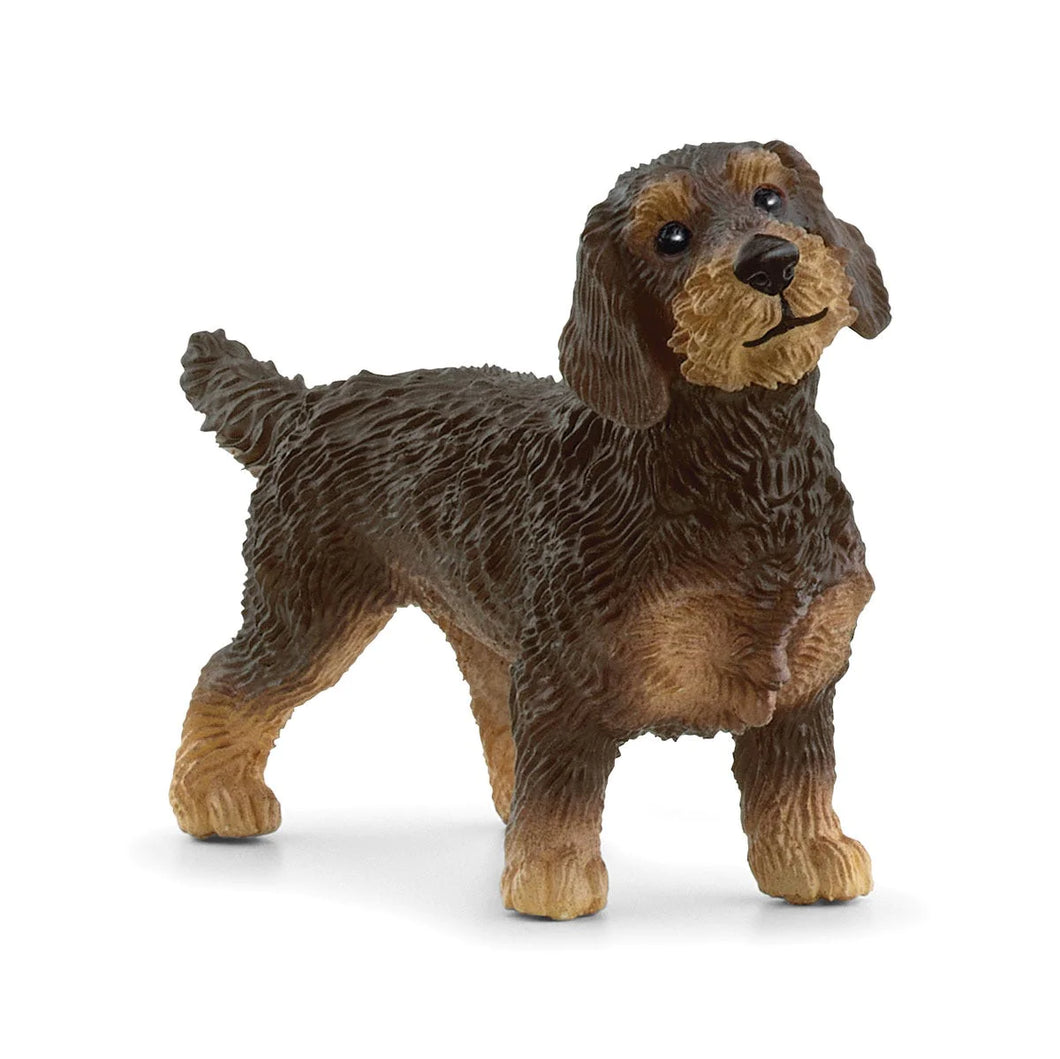 Schleich 13972 Wire-Haired Dachshund