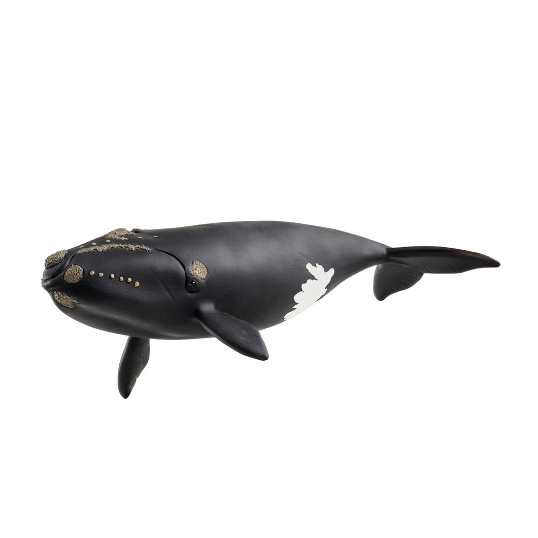 Schleich 14878 North Atlantic Whale