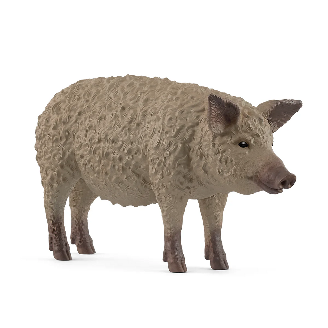 Schleich 14892 Mangalica Pig