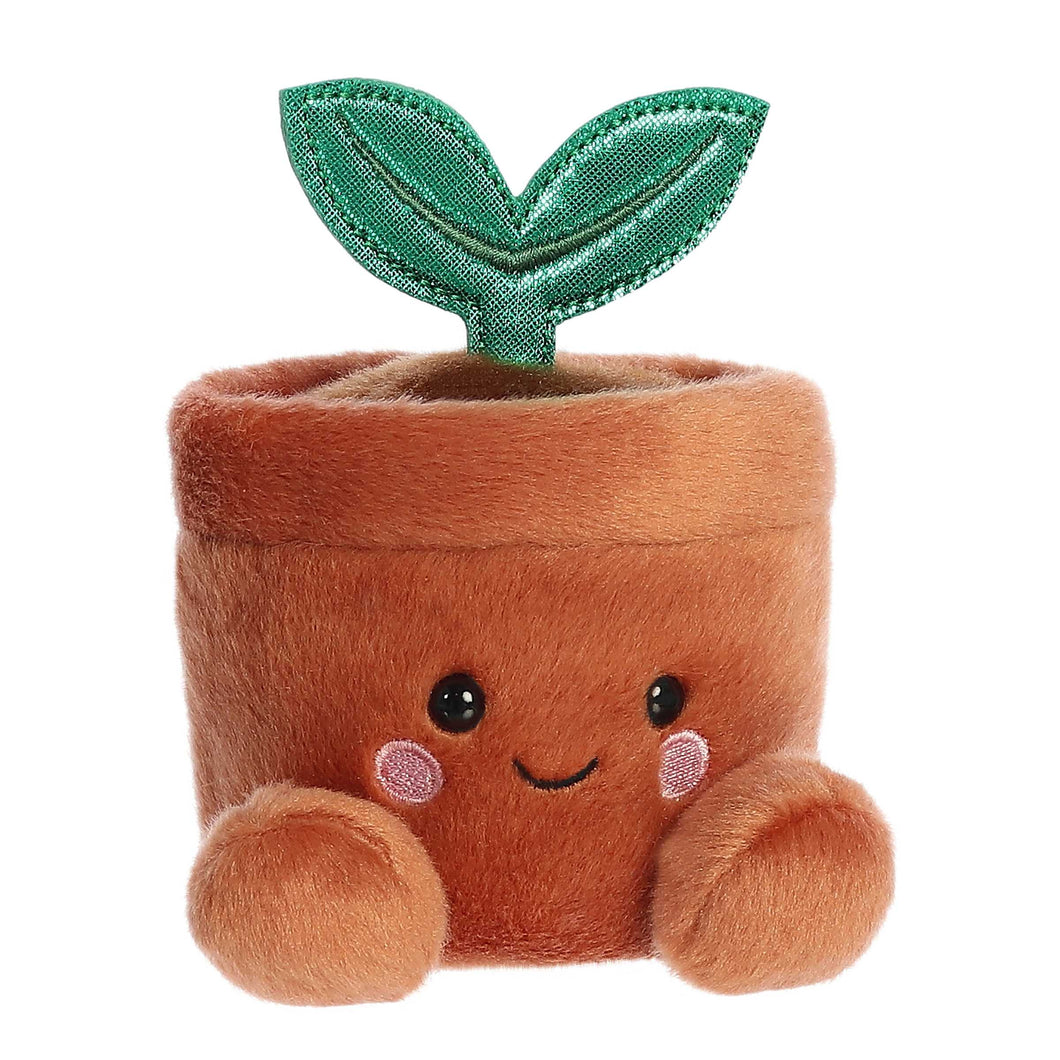 Aurora Palm Pals 5” - Terra Potted Plant