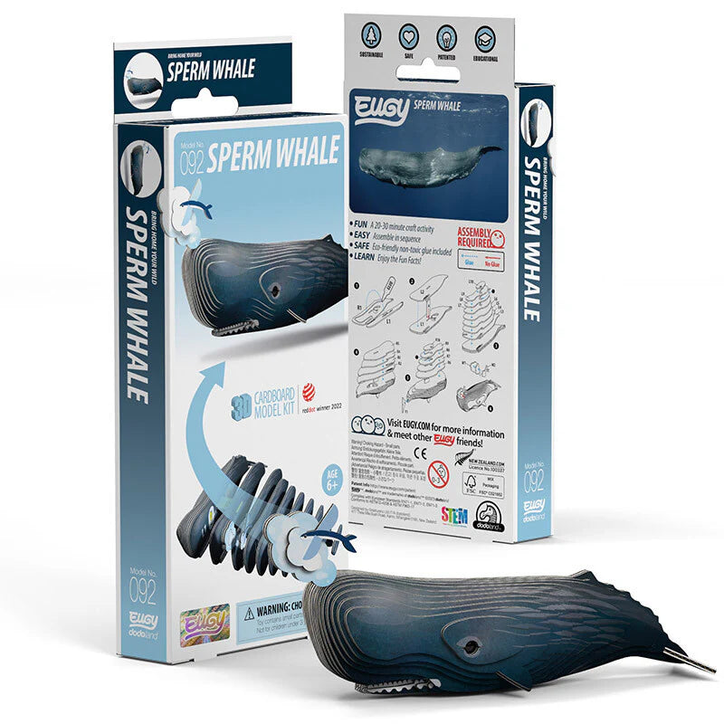 Eugy - Sperm Whale