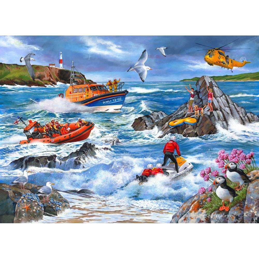 Against The Tide 1000pc Puzzle