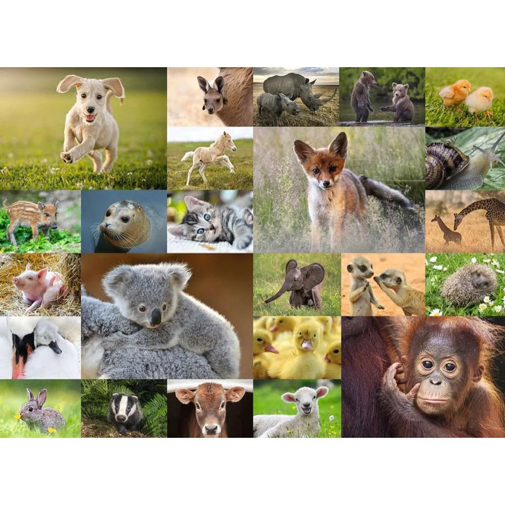 Baby Animals 200XXL Puzzle