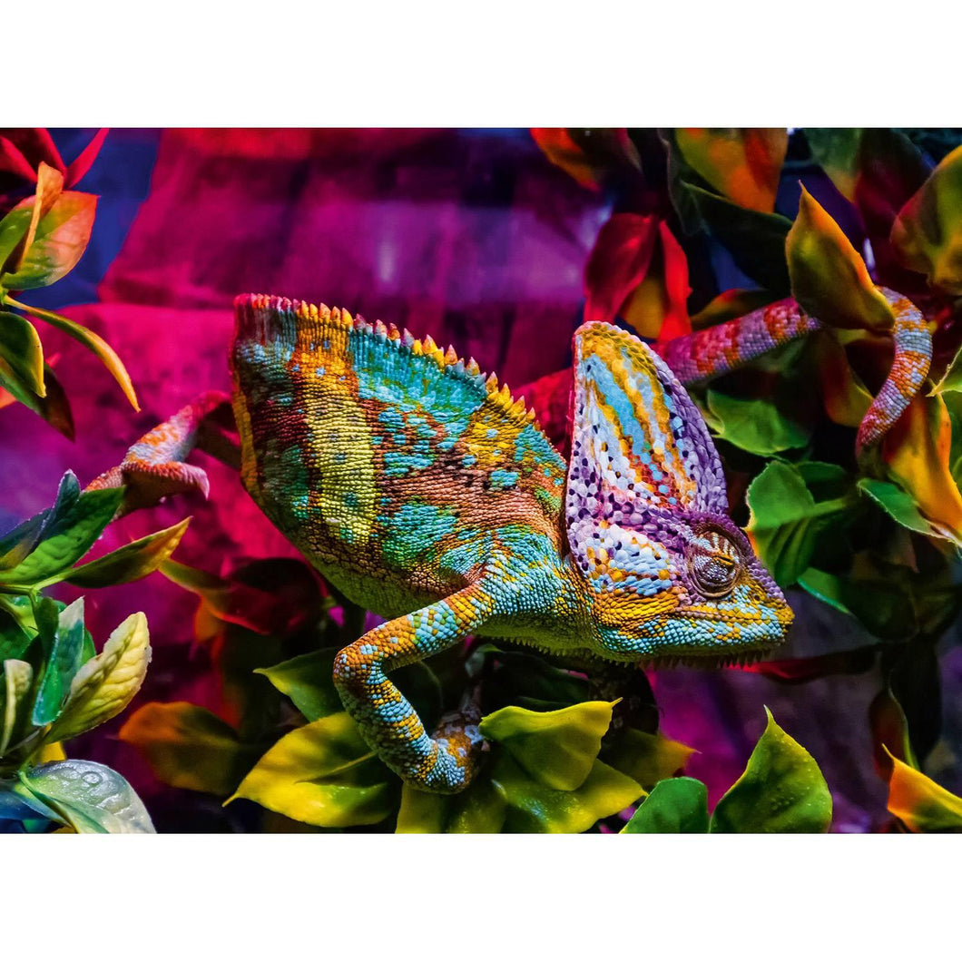 Chameleon 500pc Large Format Puzzle