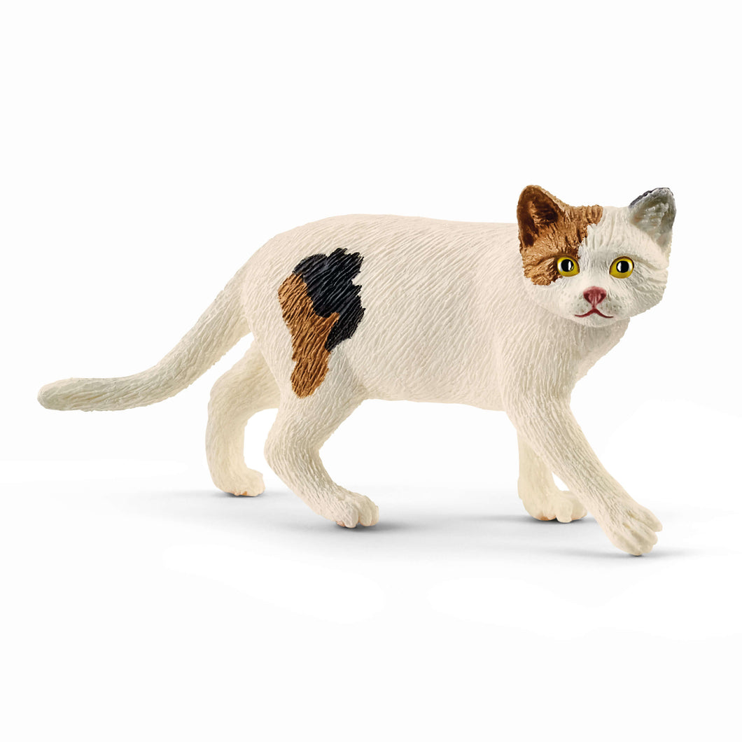 Schleich 13894 American Shorthair Cat