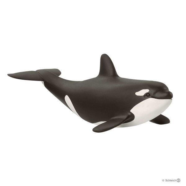 Schleich 14836 Baby Killer Whale