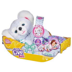 Little Live Pets Cozy Dozys - Kip the Koala