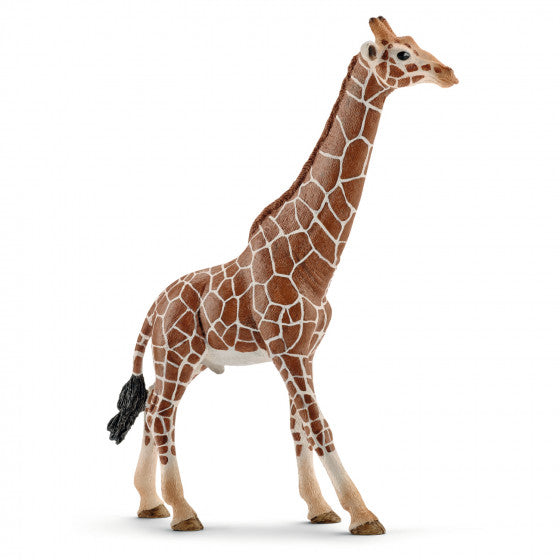 Schleich 14749 Giraffe, male