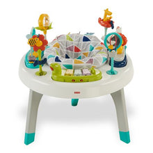 Load image into Gallery viewer, FisherPrice 2-in-1 Sit-to-Stand Activity Center
