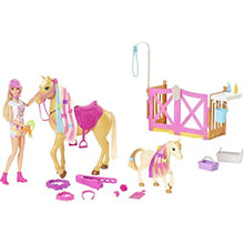 Load image into Gallery viewer, Barbie Groom ‘N’ Care Doll Horse and Playset
