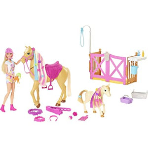 Barbie Groom ‘N’ Care Doll Horse and Playset