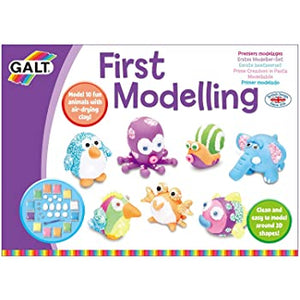 Galt First Modelling