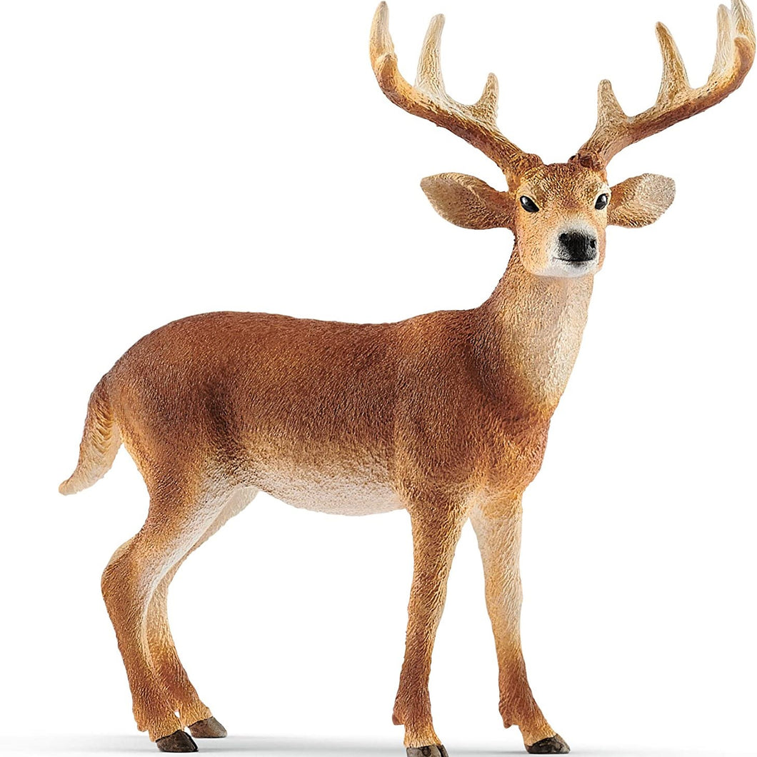 Schleich 14818 White Tailed Buck