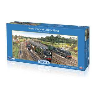 New Forest Junction 636pc