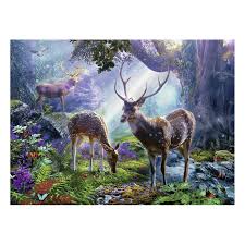 Deer in the Wild 500pc