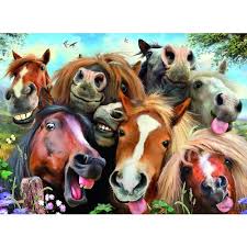 Horsing Around 500pc
