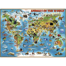 Animals of the World 300XXL pcs