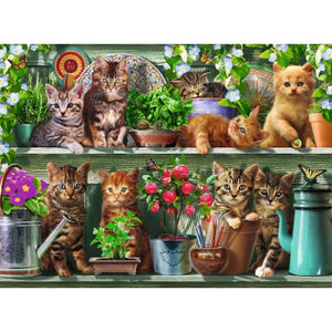 Cats on the Shelf 500pc