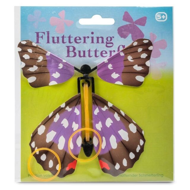 Fluttering Butterfly