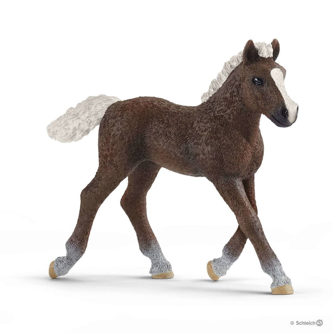 Schleich 13899 Black Forest Foal